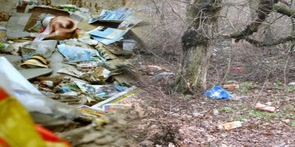 Rozrzucone śmieci po lesie